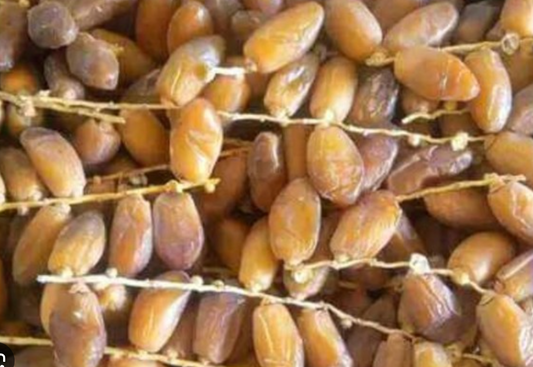Deglet Noor Dates from Algeria – Fresh Premium Deglet Noor | Tamooriya UAE